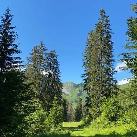 Chalet L’Elégance des Alpages Mieussy